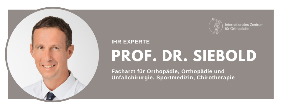 Kontaktmöglichkeit zu Professor Rainer Siebold
