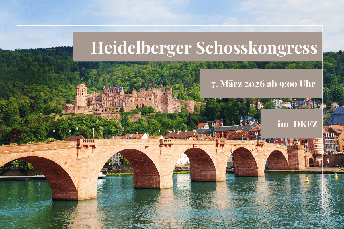 Heidelberger Schosskongress (1200 x 800 px)-2 Heidelberger Panorama mit Schloss und alter Brücke