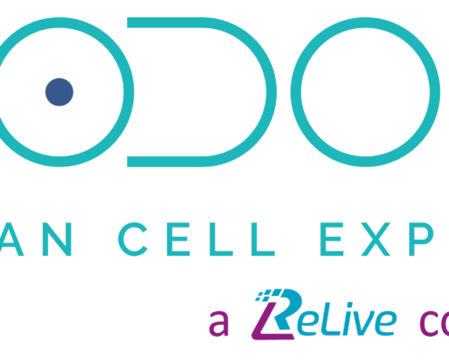 CODON_Logo_Tuerkis_Blau_cobrand Logo Codon